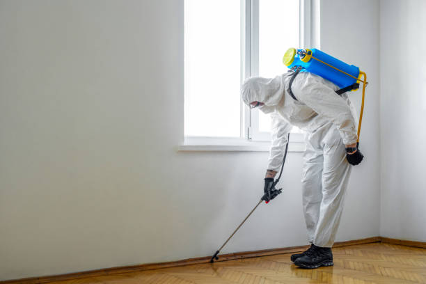 Best Pest Prevention Services  in White Cloud, MI